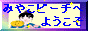 �݂₱�r�[�`