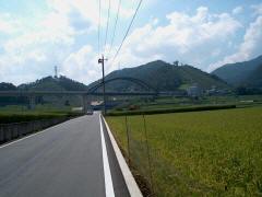 �c�ނ̒��ɐL�т�O��