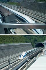 �ڂ̑O�������Ă���������