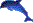 �C���J