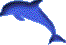 �C���J
