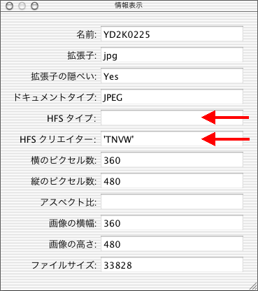 �N���G�C�^�[��TNVW�A�^�C�v�͋�ɂȂ��Ă���