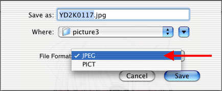 �ۑ��t�H�[�}�b�g��I�ׂ�悤�ɂȂ��Ă���