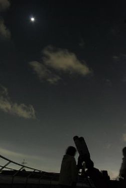 �V�̊ϑ��̗l�q