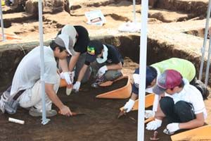 ���@�̌��̗l�q