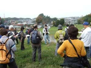 �����Ռ��w�̗l�q