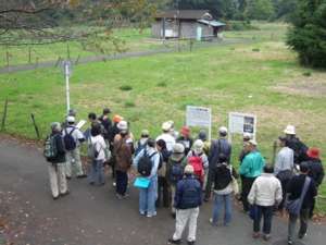 ��K��Ռ��w�̗l�q