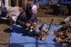 �������