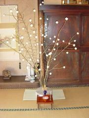 ���ʏ���