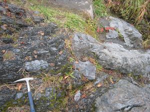 ��x�k�J�Ō����郁�����W��