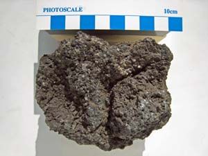 �x�m�R�̌�����