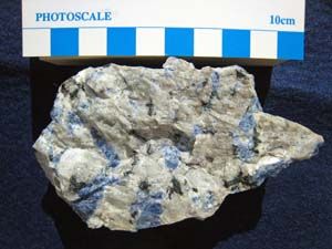 ���N�̕��\�[�_�ΑM����