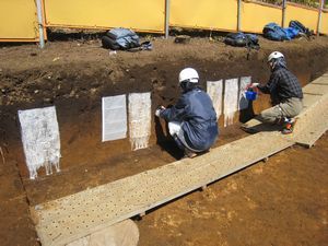 �n�w�̔�������ƒ�