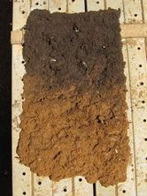 ����������n�w