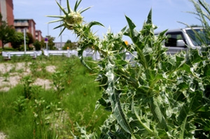 �I�j�A�U�~�s�t