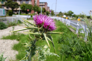 �I�j�A�U�~����