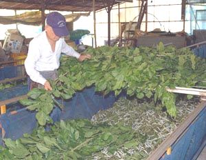 ���K������삳��