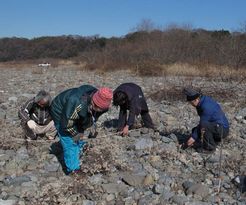 �������s���Ă��鑊�͌��A��������݂̂Ȃ���