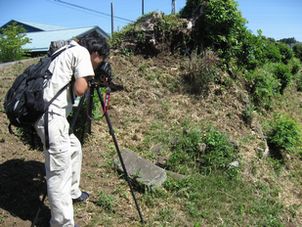 ���y�ېՂ̒������i