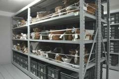 �l�Î����̎�����