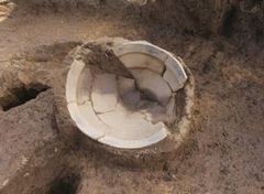 ����쌴��Ղ���o�y�����ꕶ�y��