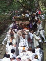 �}�ȐΒi��_�`��������