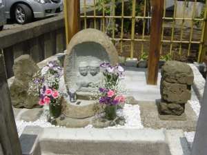 �V���̓��c�_