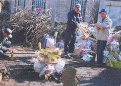 �c�q�Ă��̏���