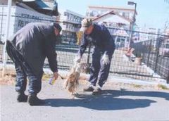 ���ē��c�_���������ꏊ�̑O�œ_��