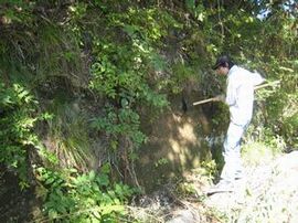 �n�w�̔������ʂ�����ĕ���ɂ��Ă��܂�