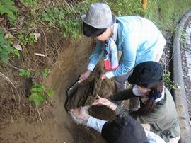 �����g���A�n�w�𔍂���蒆