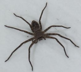 �A�V�_�J�O�����ォ��B�e