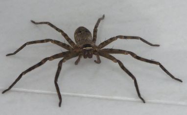 �A�V�_�J�O������̐��ʂ���B�e