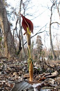 �~�~�K�^�e���i���V���E