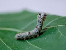 �J�C�R��3��c��