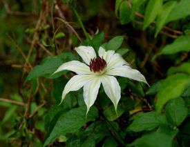 �J�U�O���}