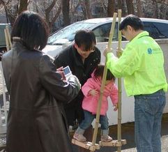 �̗̂V�ё̌��̗l�q