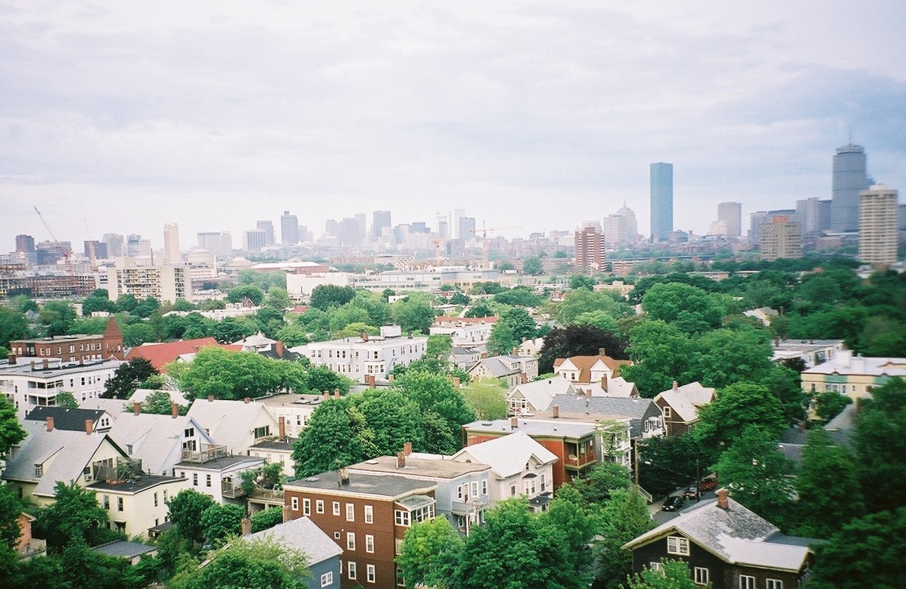 �����񍐎ʐ^