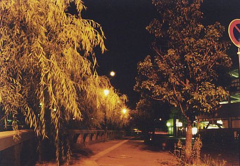 ɂāiQj