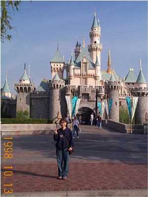 �V���f������