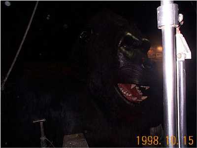 �S���������I