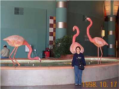 �t���~���S�z�e��