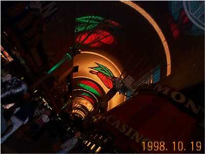 �V�Y�i���j