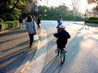 [ԋ߂̐MZt