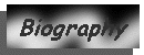 This page you see now.