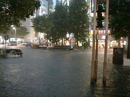 Rain at Sunset: on Summer, Photo By Ukaz