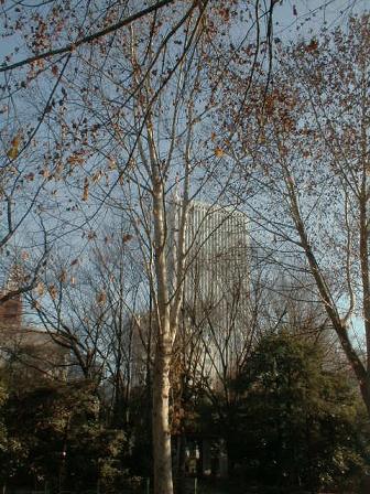 SUNSHINE 60 Building from A park, Photo By Ukaz