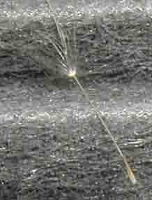 �t�B���^���܂���m(_ _)m