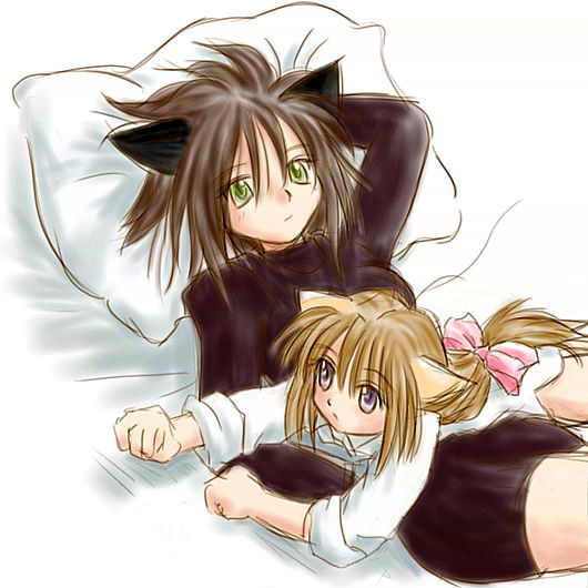 �L�̂���ꍇ���p�͌��O���Ȃ�