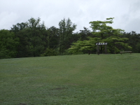 少し天気は回復しましたが...